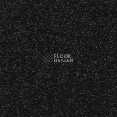 Ковровая плитка Balsan Dolce Vita 995 фото 2 | FLOORDEALER